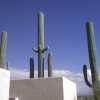 cell-phone-tower-disguised-as-a-cactus-3