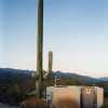 cell-phone-tower-disguised-as-a-cactus-4