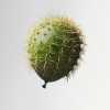 wtf-photos-videos-and-i-became-my-worst-fear-now-im-the-cactusballon