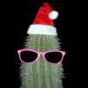 Cactus-Santa-small-2